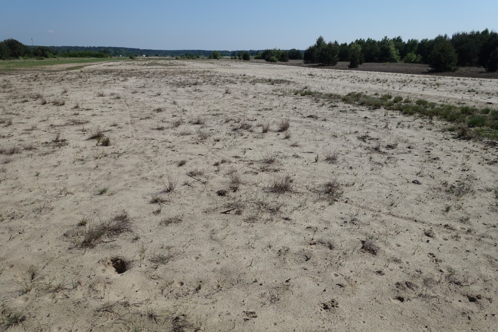 a lot of sand in Poland