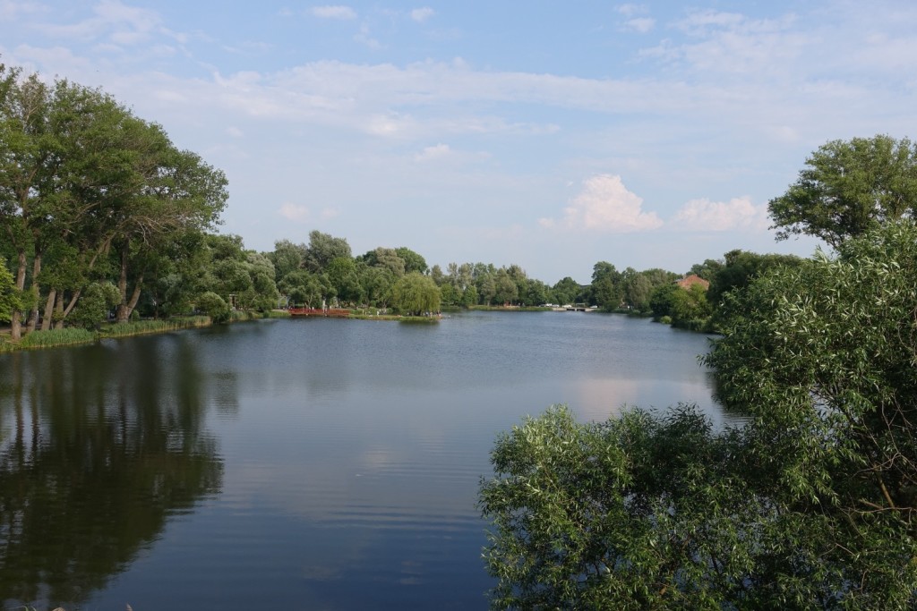 der Loshytski Park in der Nähe unserer Unterkunft