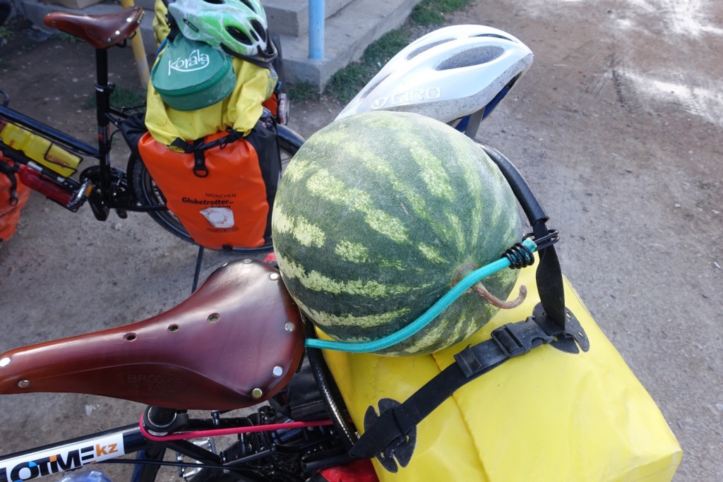 der Versuch, die Melone zu transportieren