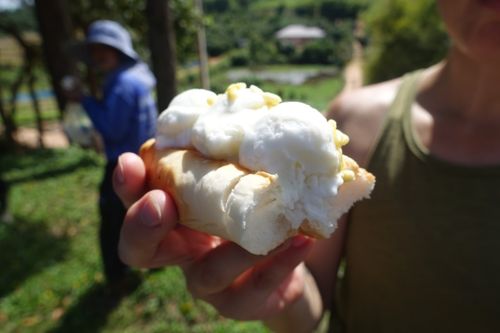 dessert at the roadside: hot dog bun with sticky rice, coconut ice cream and corn (?) - delicious!