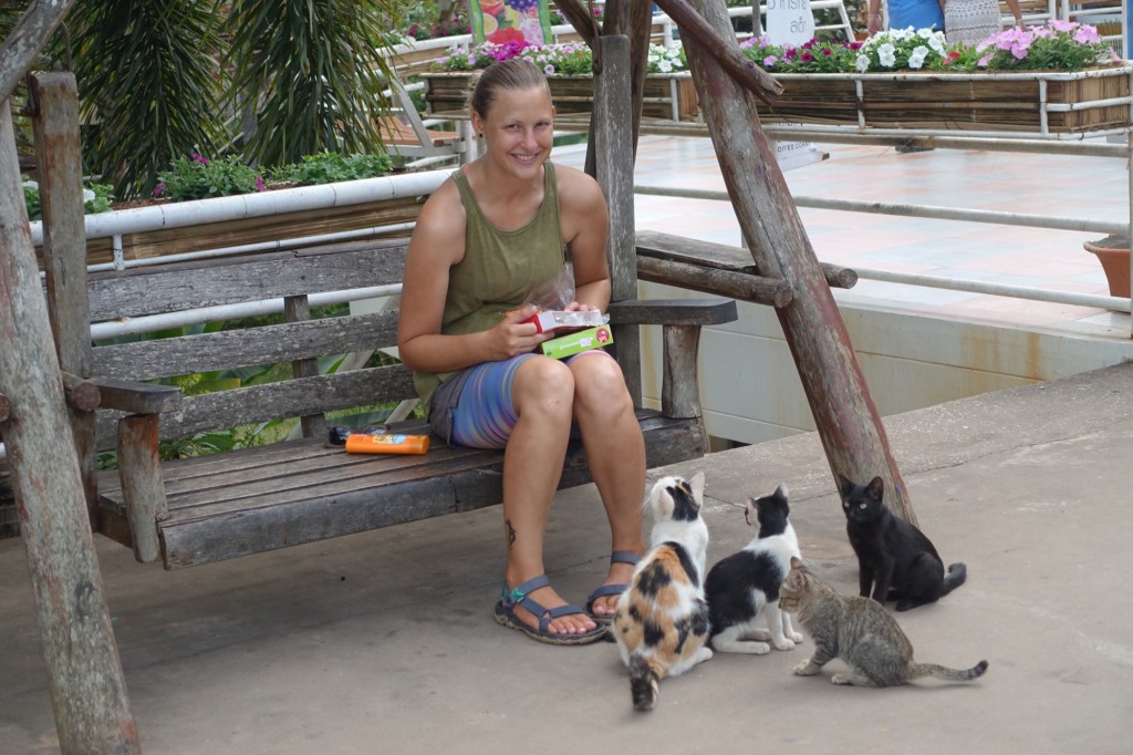 the crazy cat lady :-D