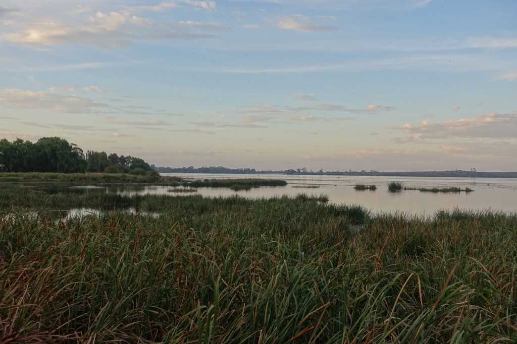 am Lake Purrumbete