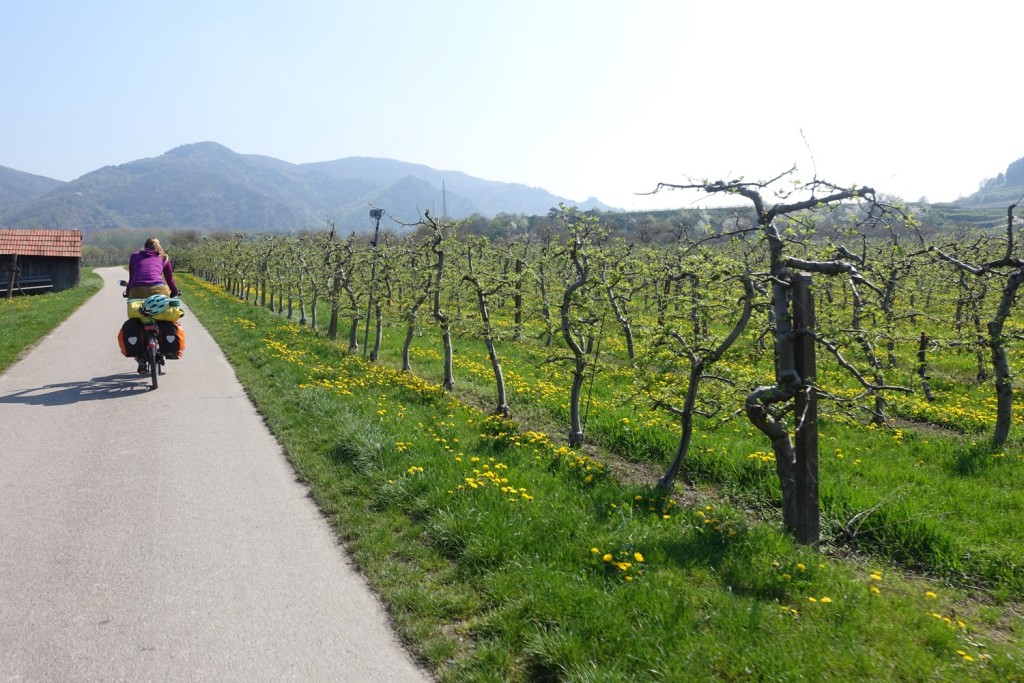 the beautiful Wachau