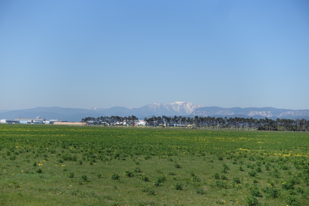 der Schneeberg im Hintergrund